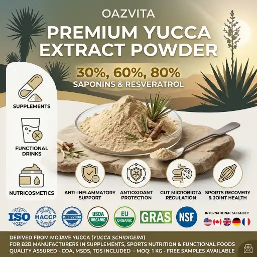 Yucca Extract Powder Benefits, Uses & Safety Guide